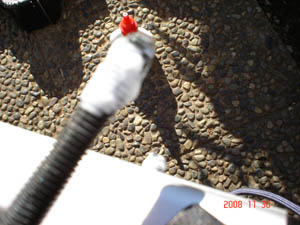 DSC00542.JPG