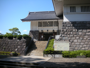 DSCN1538.jpg