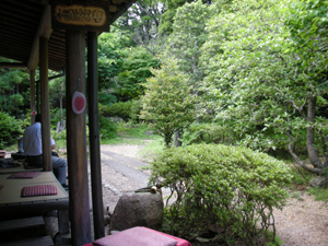 DSCN1542.jpg