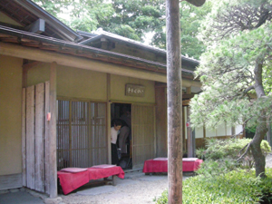 DSCN1546.jpg